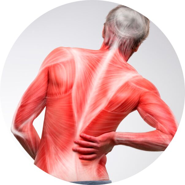 A hát az izom- és ízületi fájdalmak gyakori forrása a legtöbb ember számára.